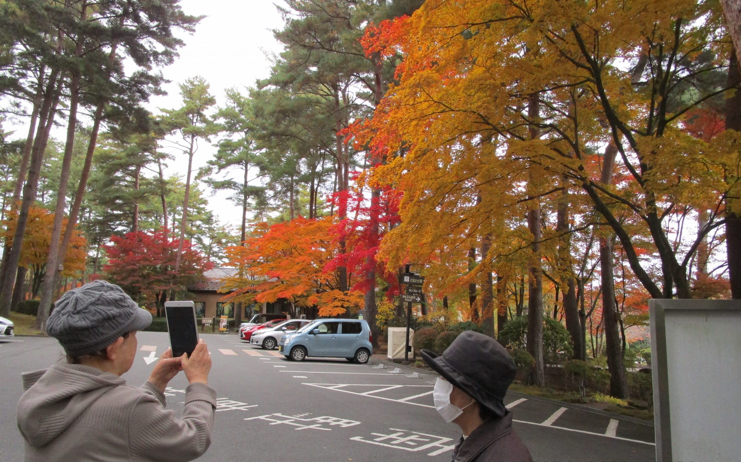 外出とお誕生日会