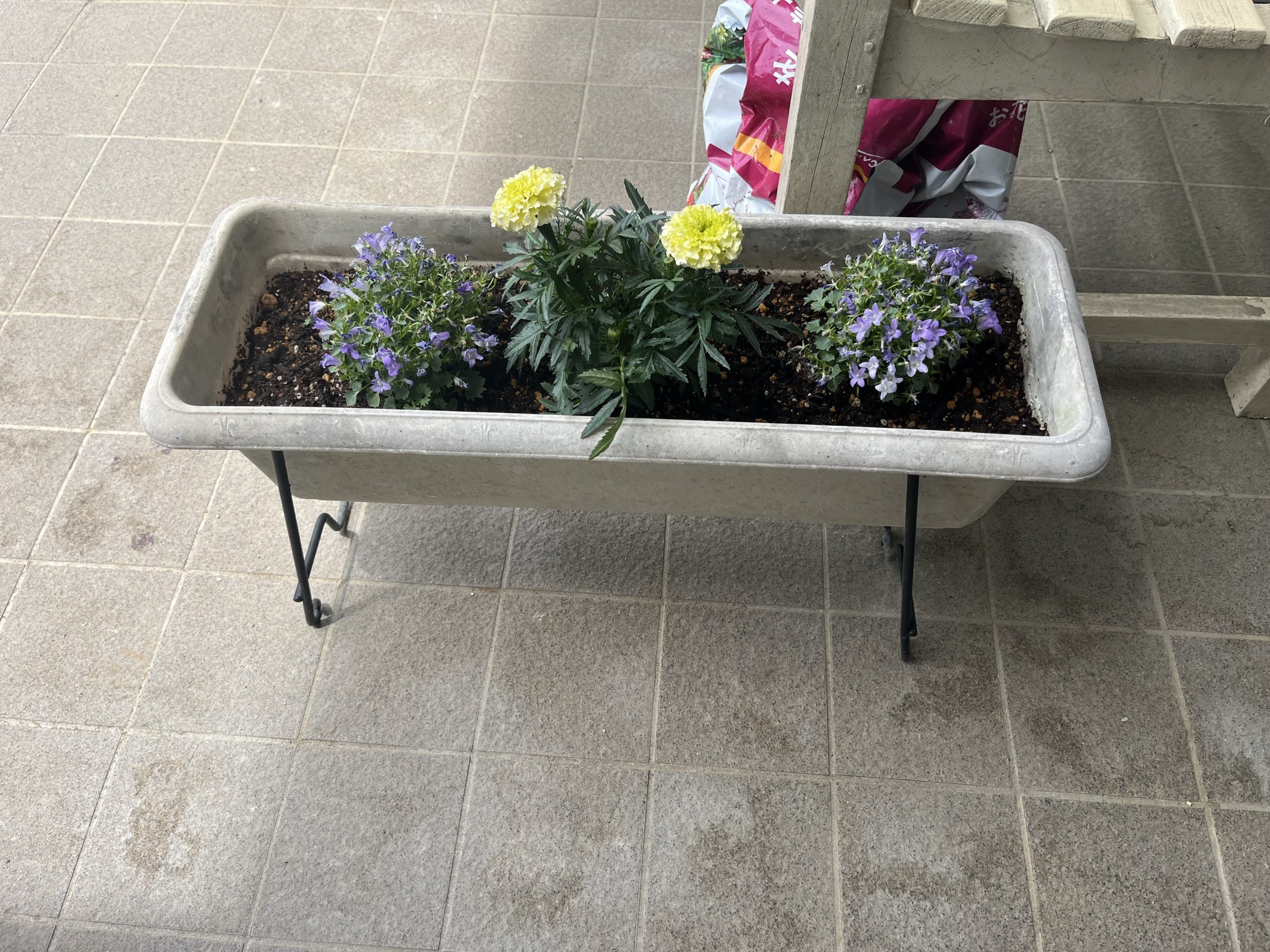 花植え